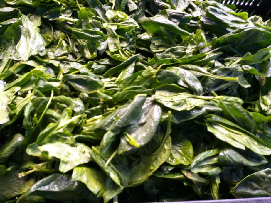 Espinaca Baby en Domo