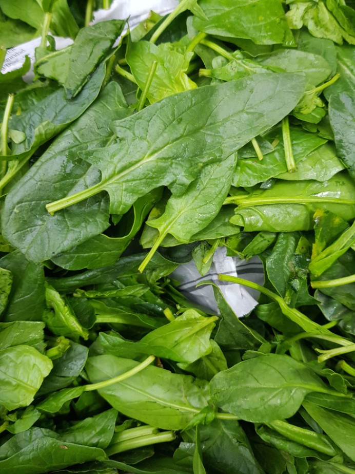 Espinaca Baby