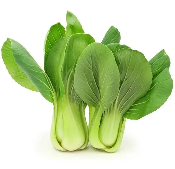 Pak Choi