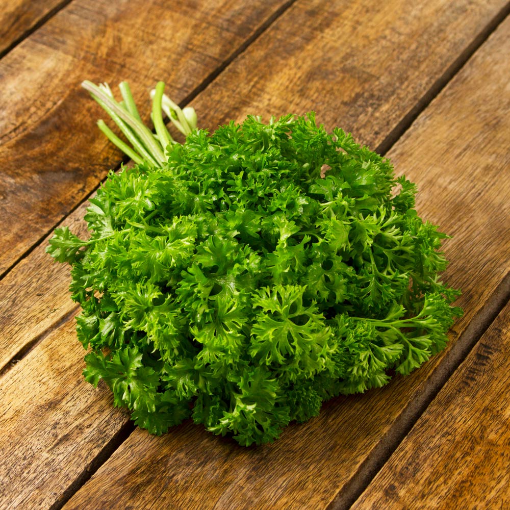 Perejil Chino