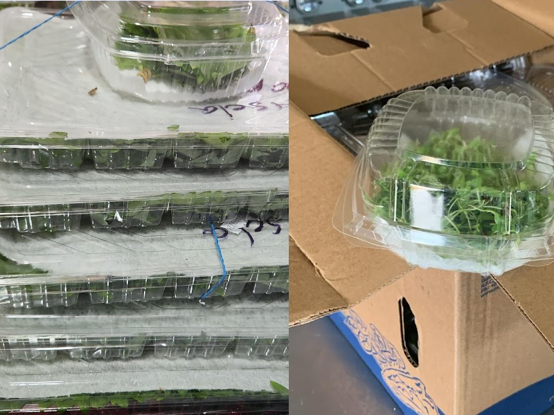 Innovación Sostenible